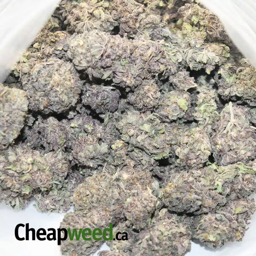 TONYS SELECT SATIVA 5 3 I Tony's Select Sativa #5
