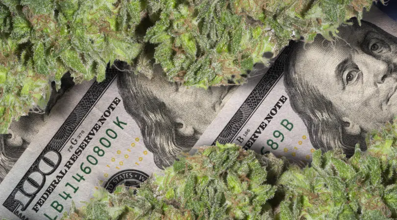 Top 7 Marijuana Stocks to Invest in 2019