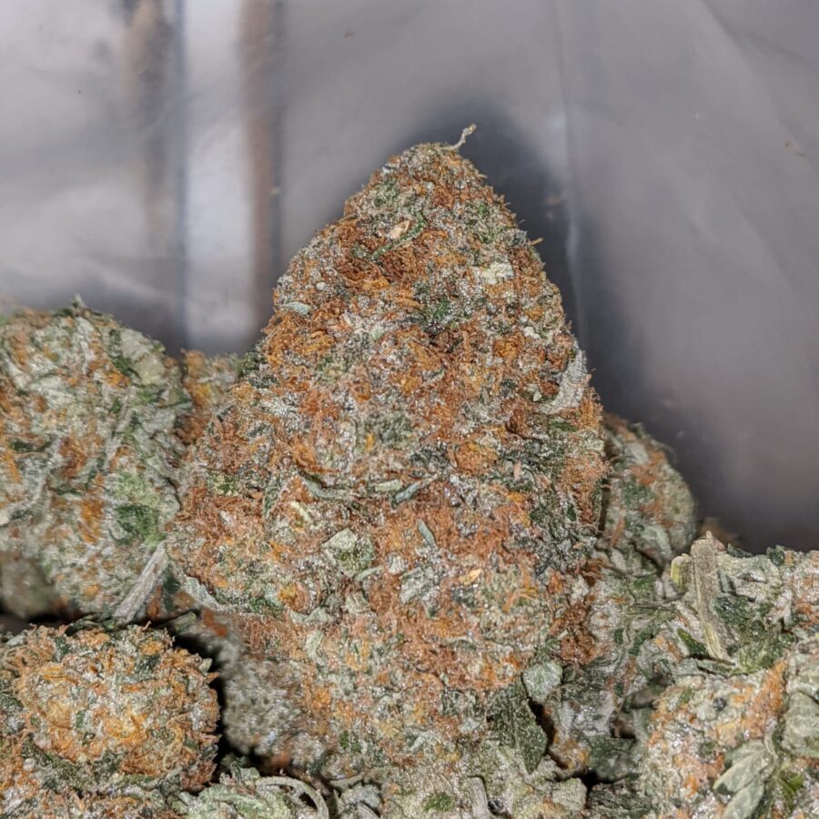 Banana Cream - Image 5