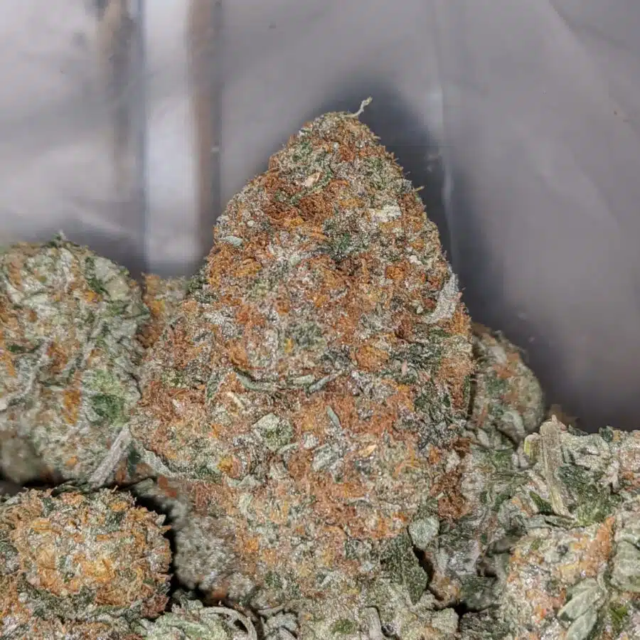 banana cream 1 I Banana Cream