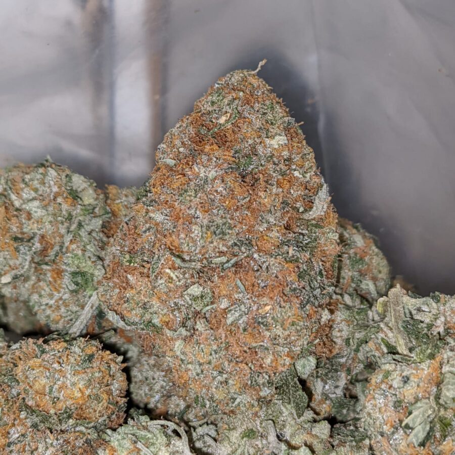 Banana Cream - Image 4