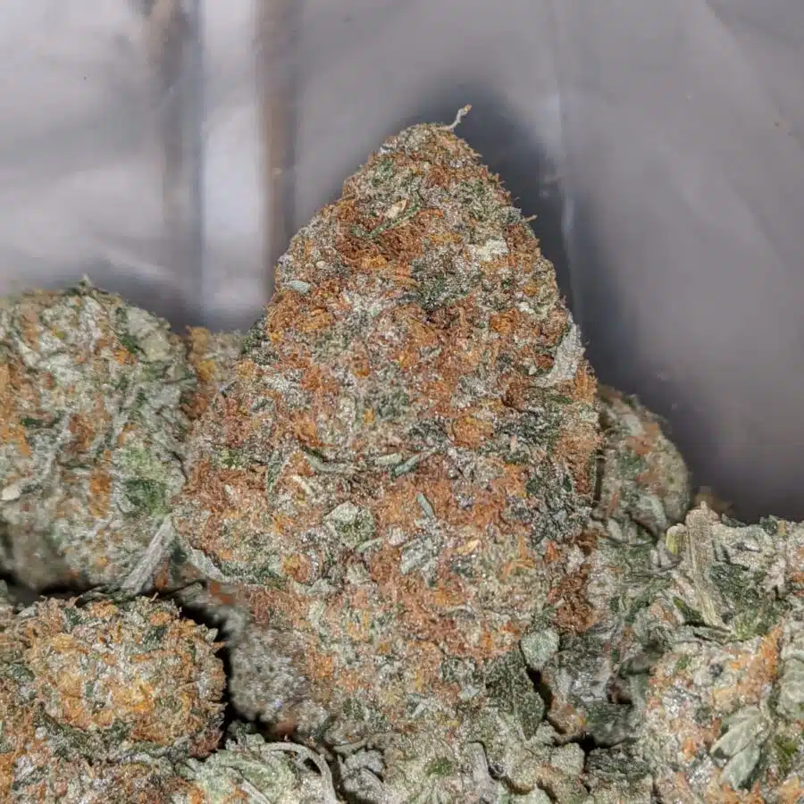 banana cream 2 I Banana Cream
