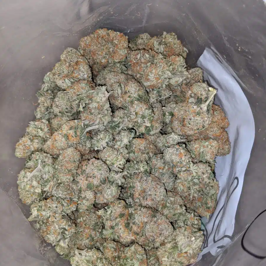 banana cream 3 I Banana Cream