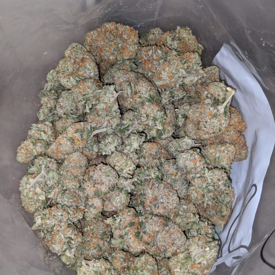 Banana Cream - Image 6