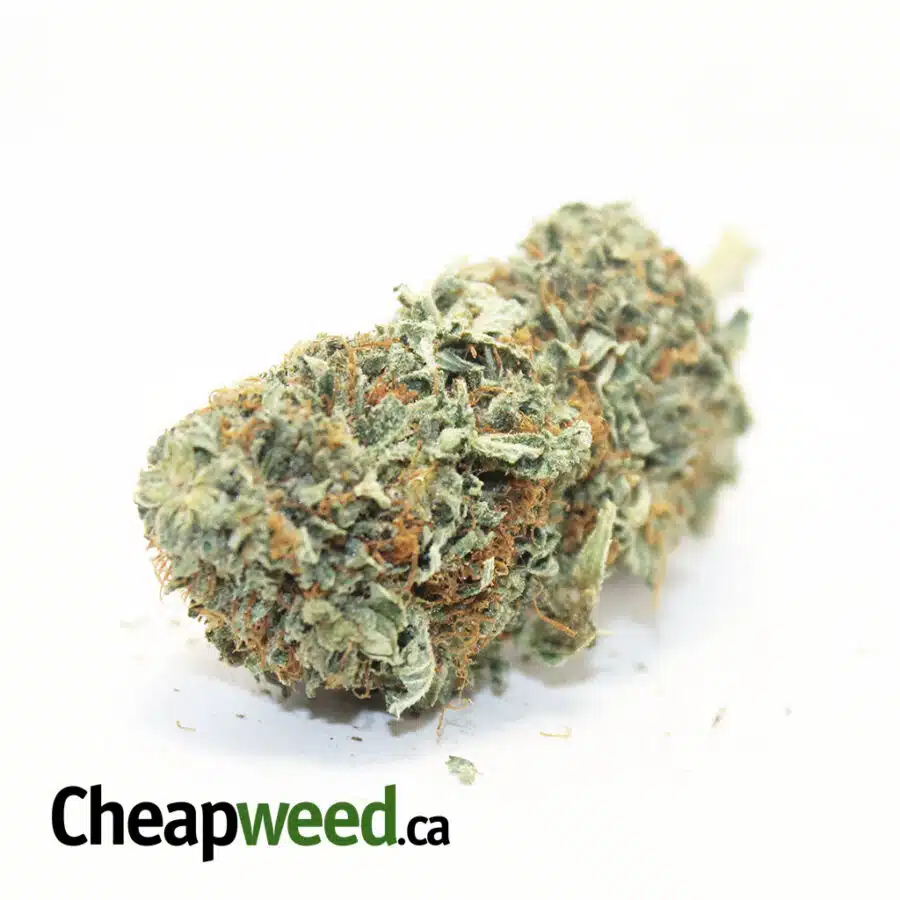 Budget Sour Diesel