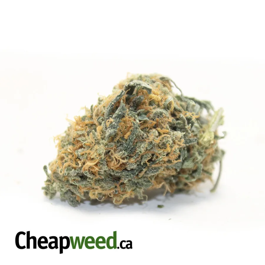 $99 Oz - Cheap Sativa