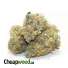 $89 Oz - Zombie Pie