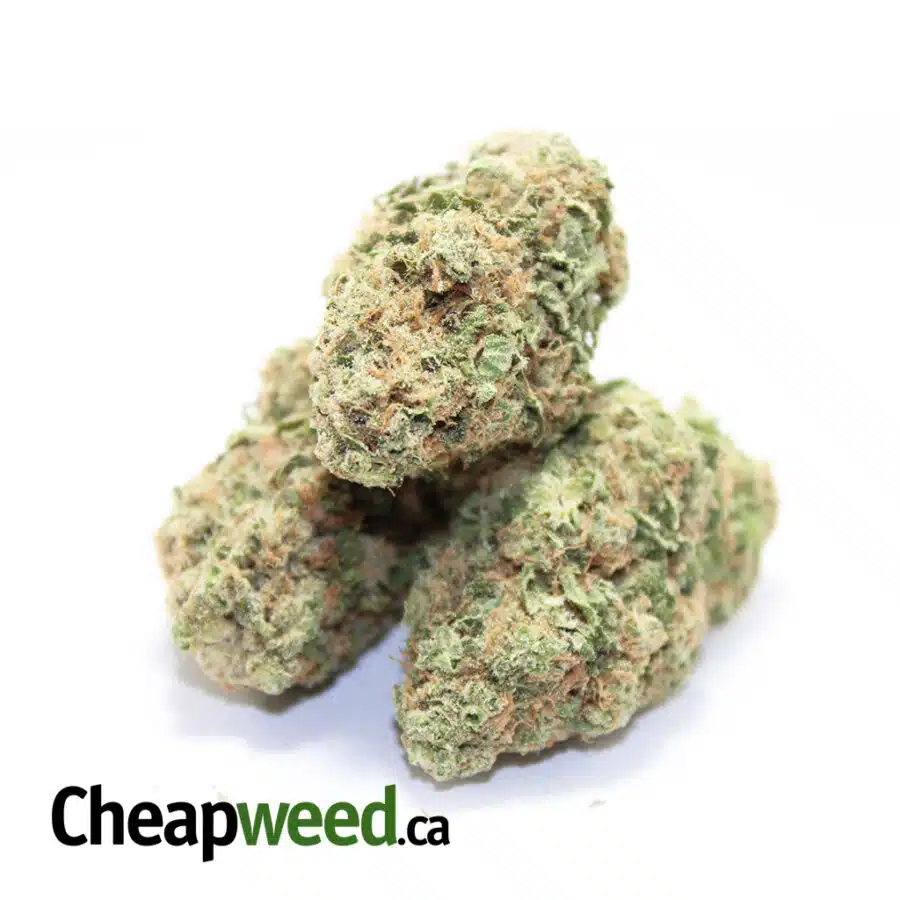 Alternative view of Island Sweet Berry
