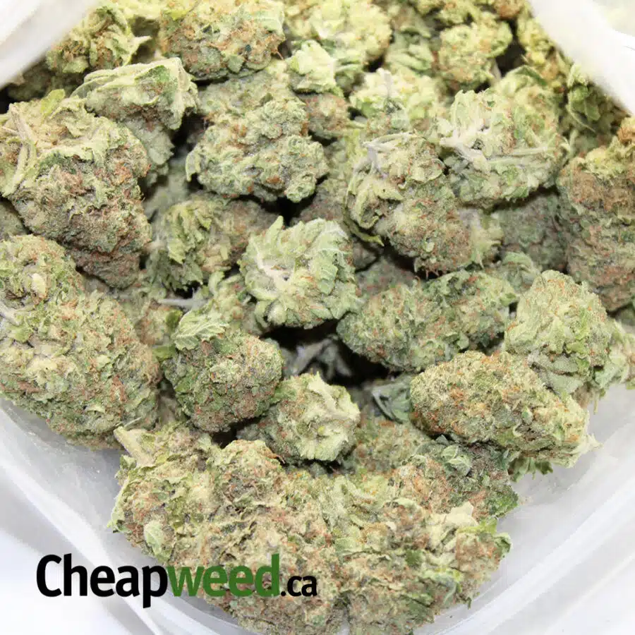 island sweet berry 2 I Island Sweet Berry