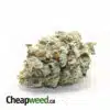 Red Diesel
