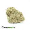 $99 Oz - Romulan