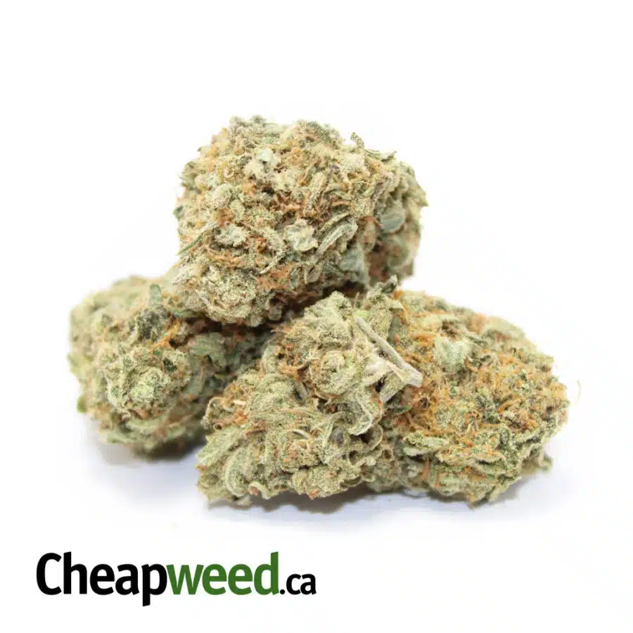 Alternative view of $99 Oz - Romulan