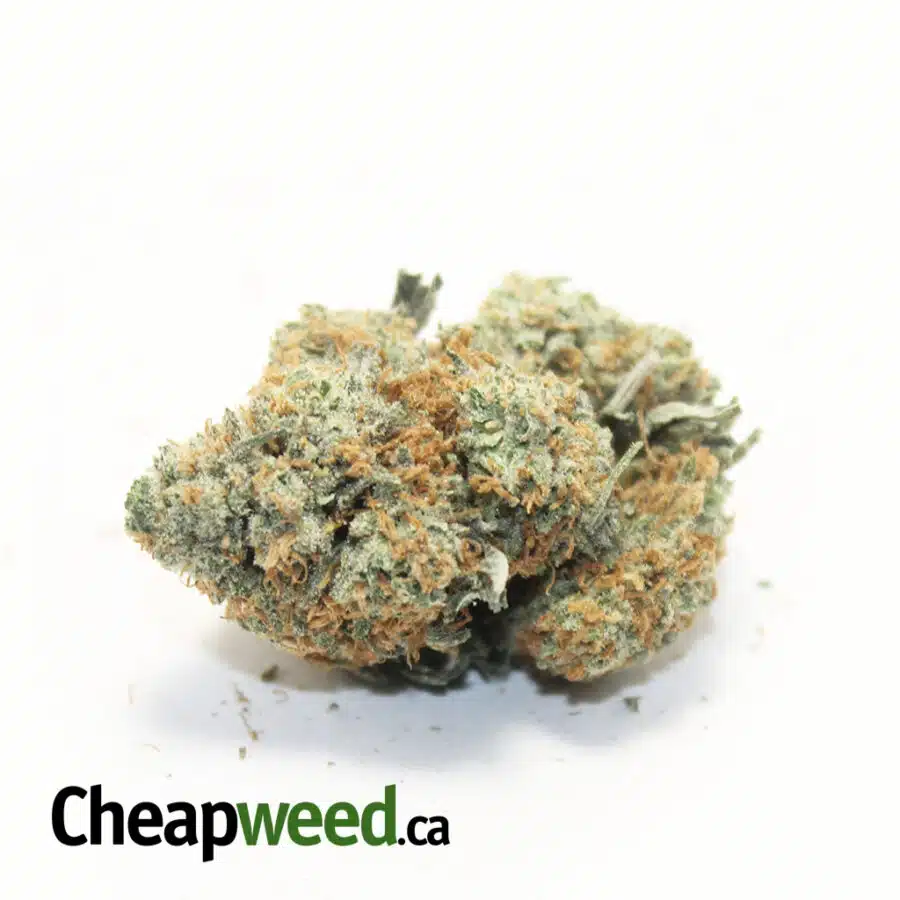 Tony's Select Sativa #10