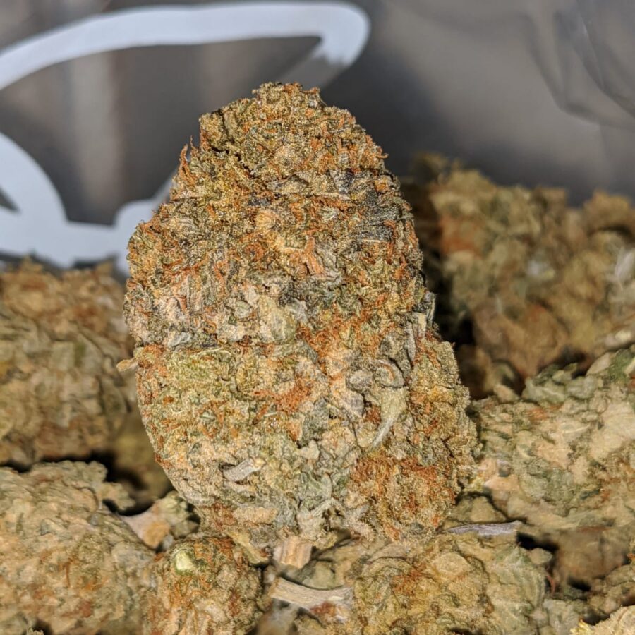 sour wreck bs 1 I Sour Wreck Bulk Special