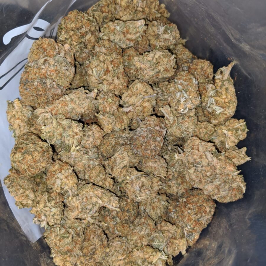 sour wreck bs 3 I Sour Wreck Bulk Special