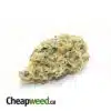 Super Sour Lemon God