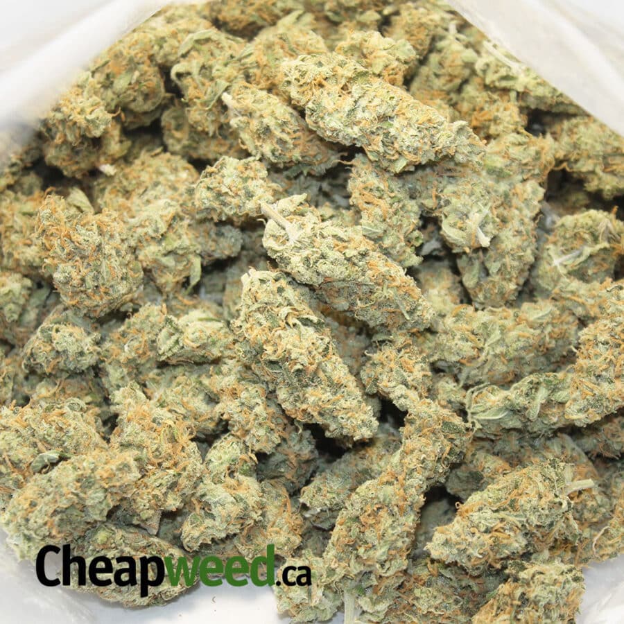 super lemon god 4 I Super Sour Lemon God