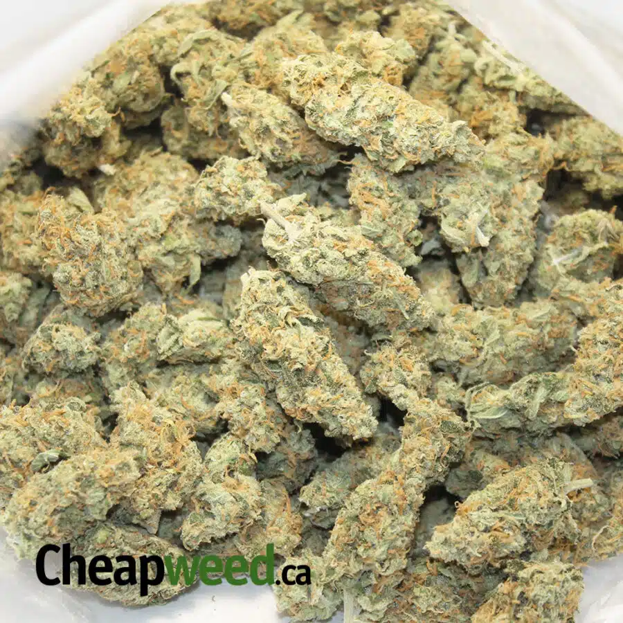 super lemon god 4 I Super Sour Lemon God