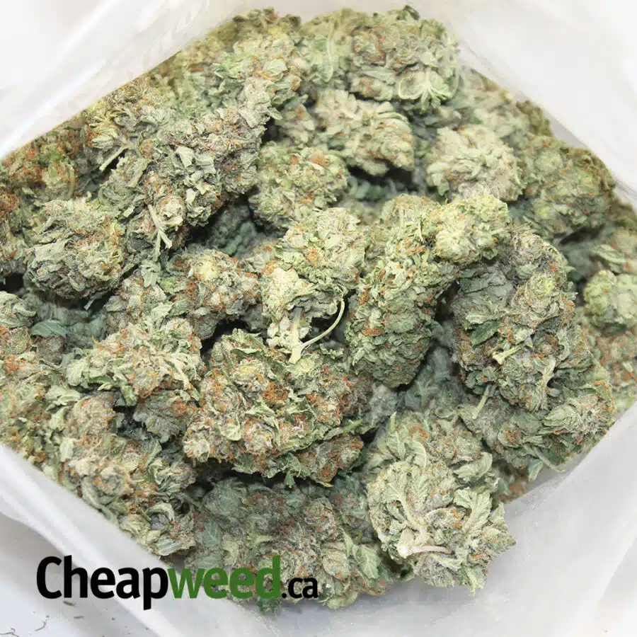 sweet kush 4 I $99 Oz - Sweet Kush