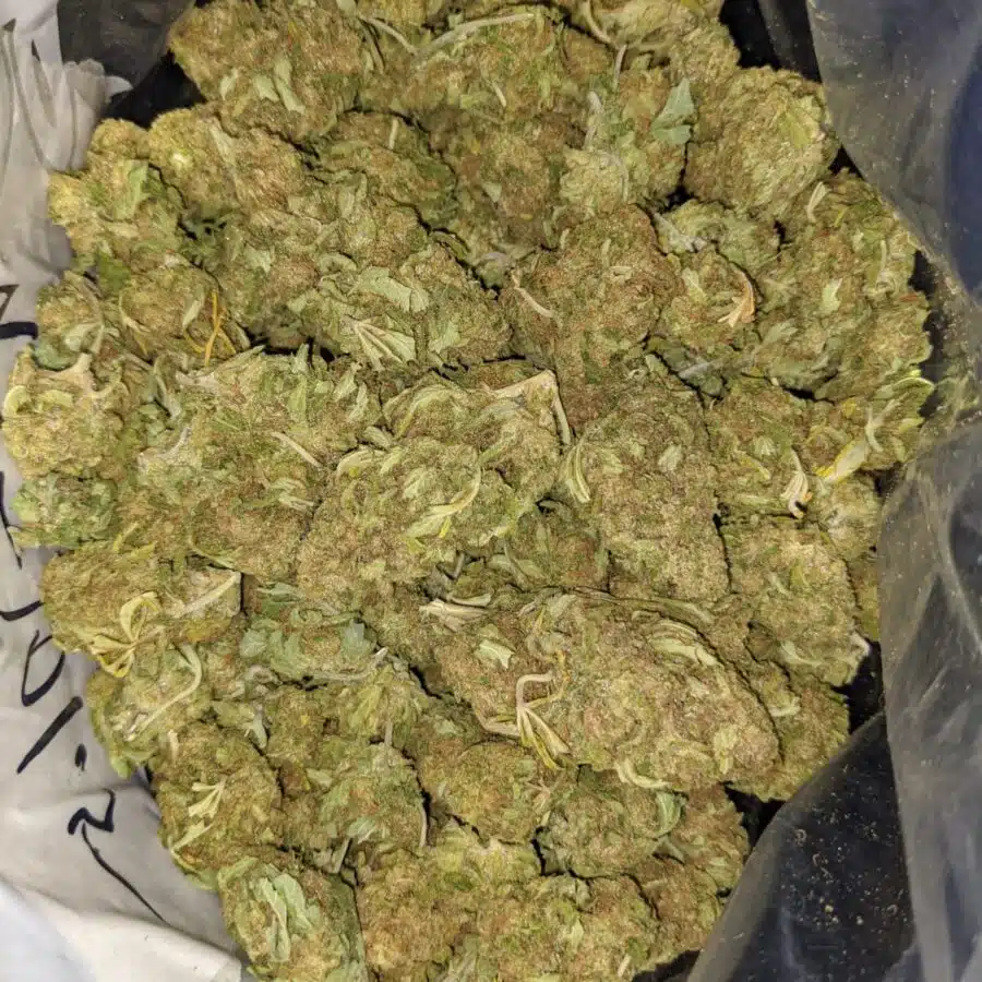 thai haze aa 3 I Thai Haze AA+