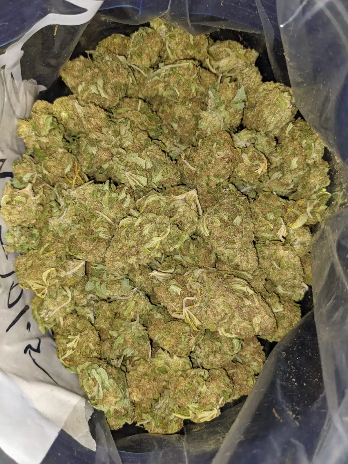 Thai Haze AA+ - Image 7