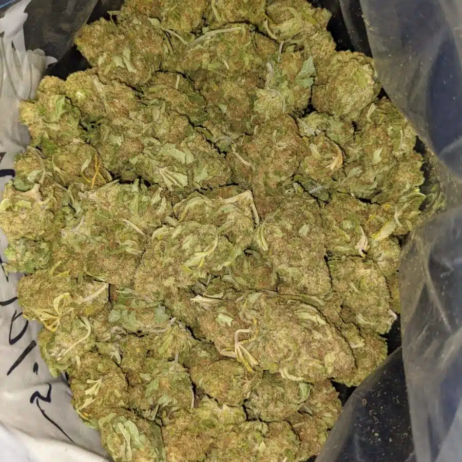thai haze aa 4 I Thai Haze AA+