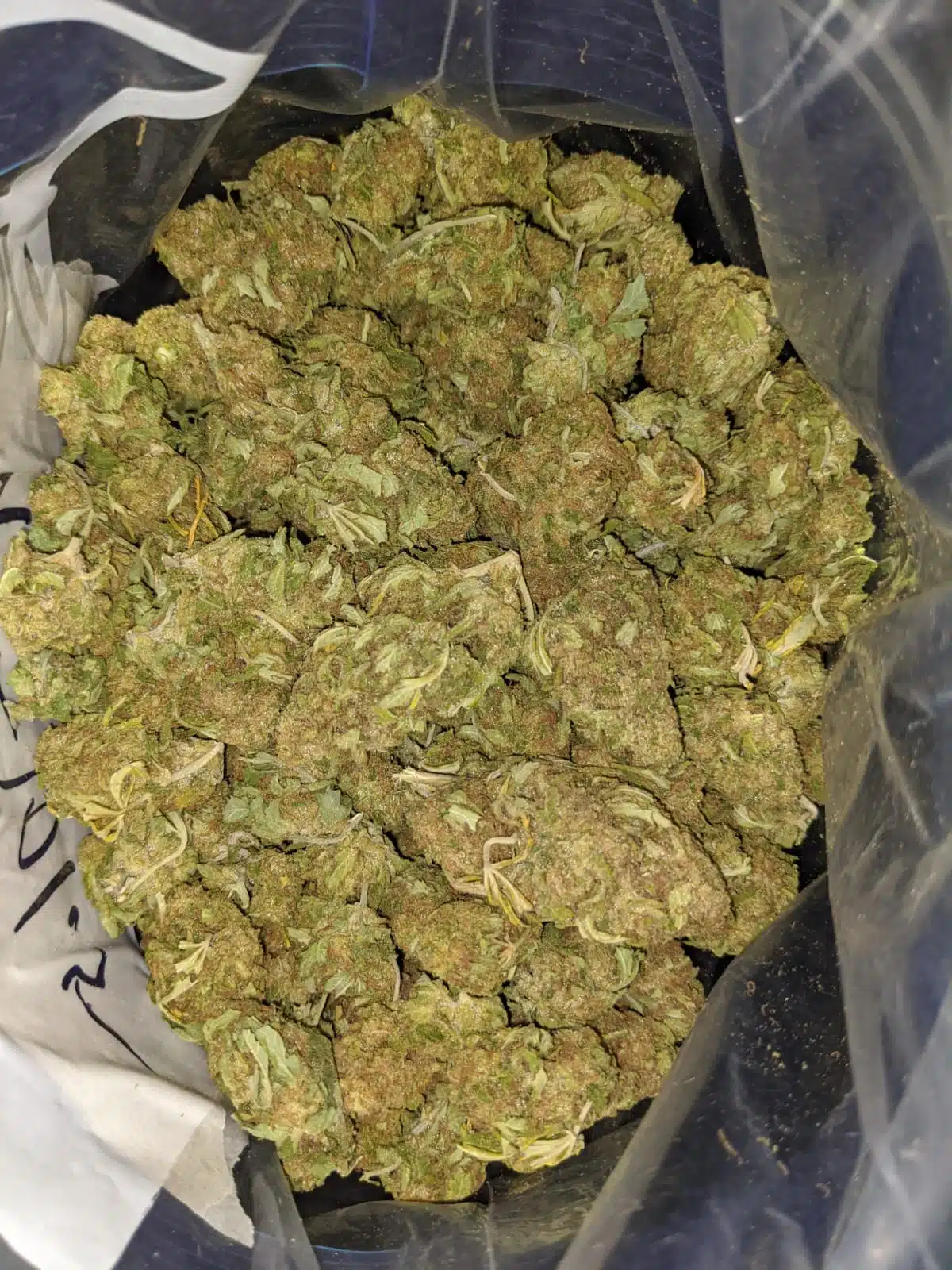 Thai Haze AA+ - Image 6