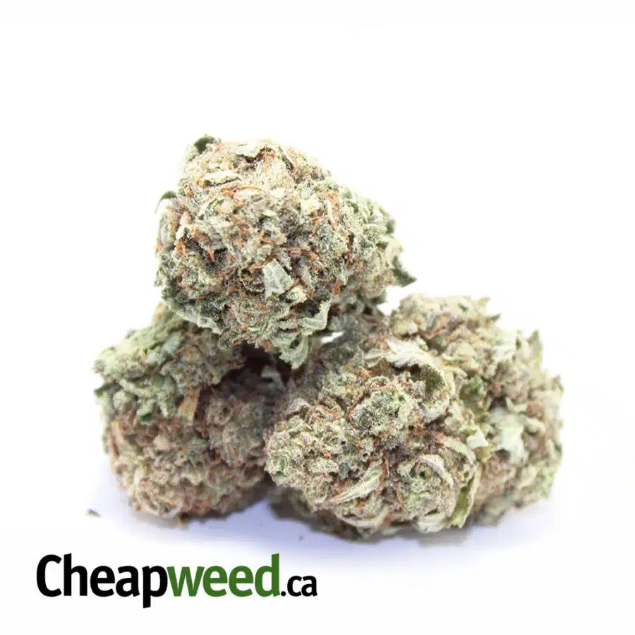 Select Pounds Hybrid