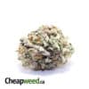 $109 Oz - Tony's Purple Kush