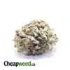 $109 Oz - Tony's Purple Kush
