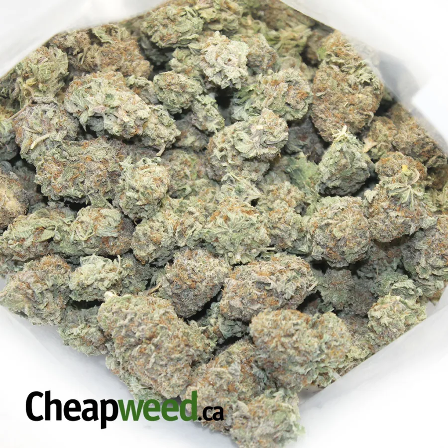 Alternative view of Famous Select Sativa