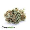 Tony's Select Indica - Ounces