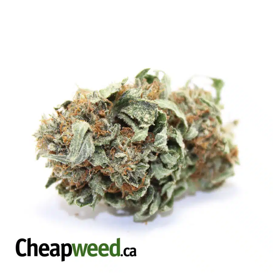 Tony's Select Indica - Ounces