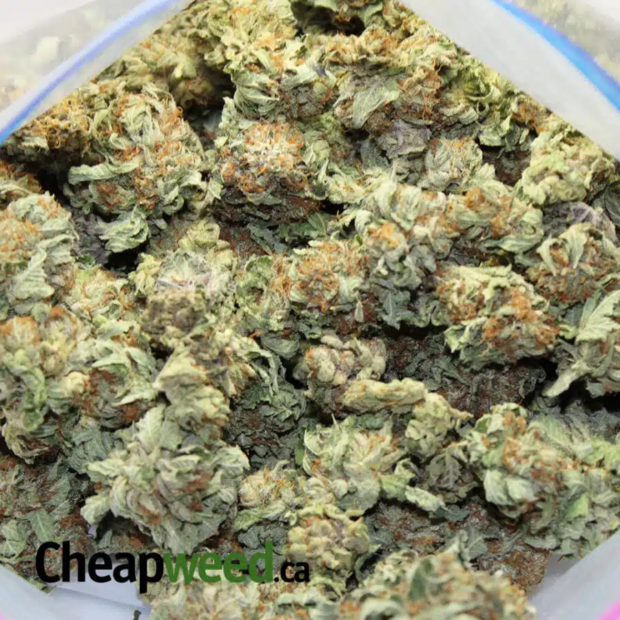 SELECT OZ 3 I Tony's Select Indica - Ounces