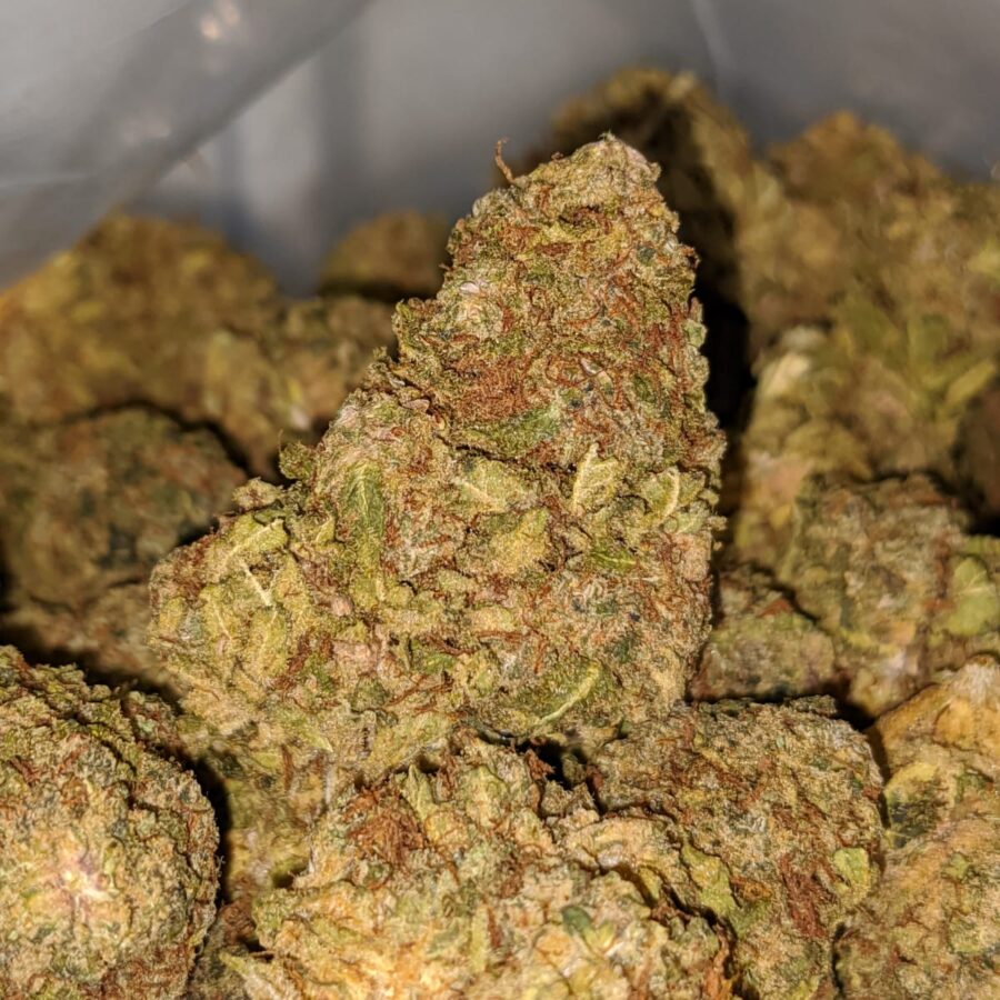 Chem De La Chem AA+ - Image 5