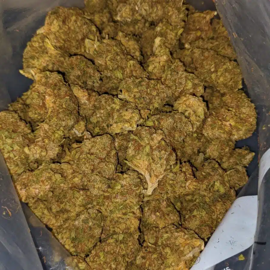 chem de la chem aa 3 I Chem De La Chem AA+