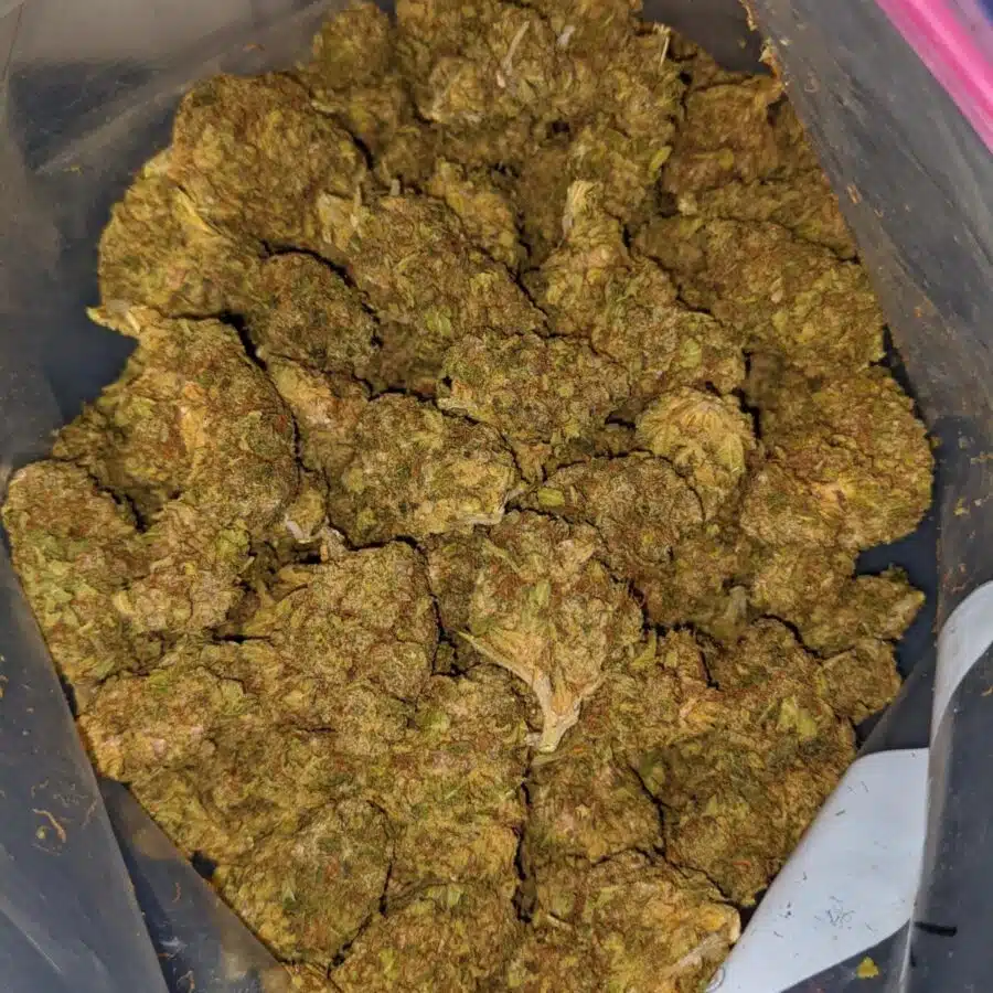 chem de la chem aa 4 I Chem De La Chem AA+