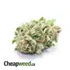 $109 Oz - Pink Magic
