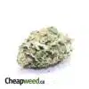 Green Mango