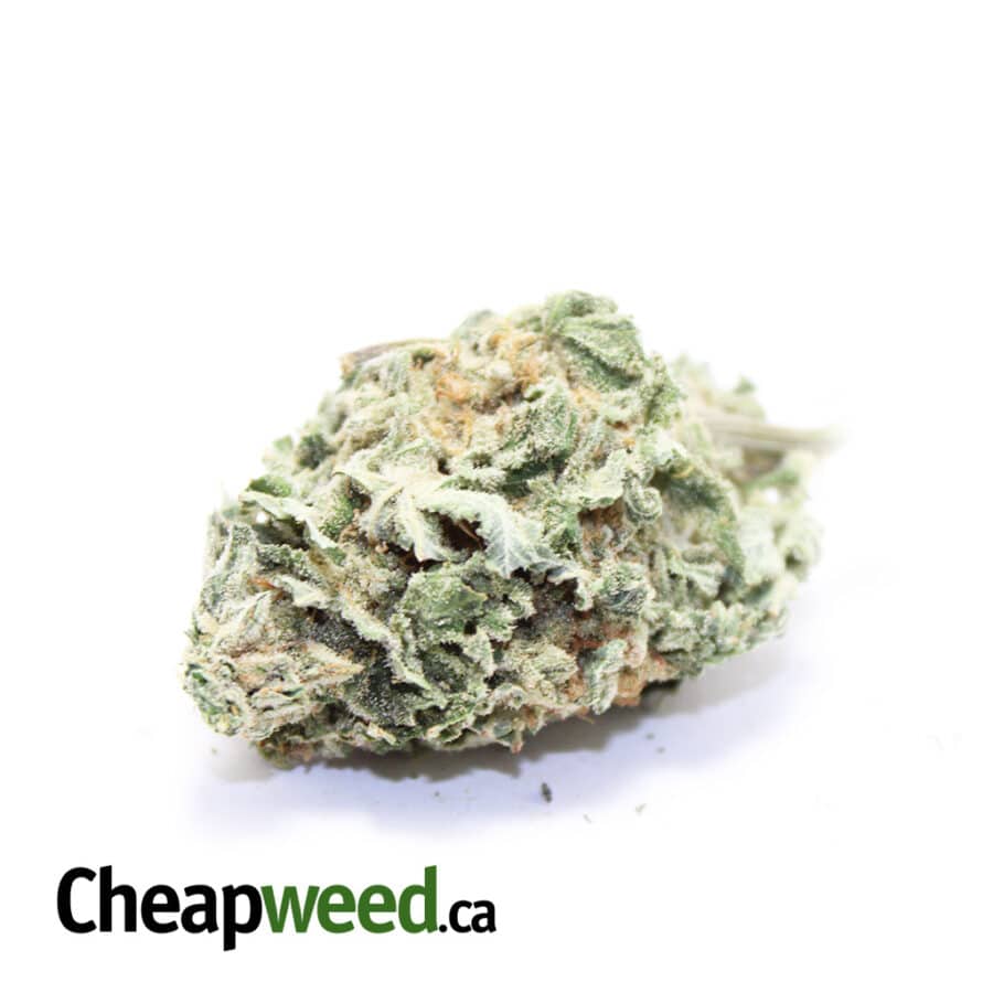 Green Mango