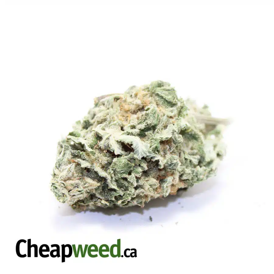 Green Mango