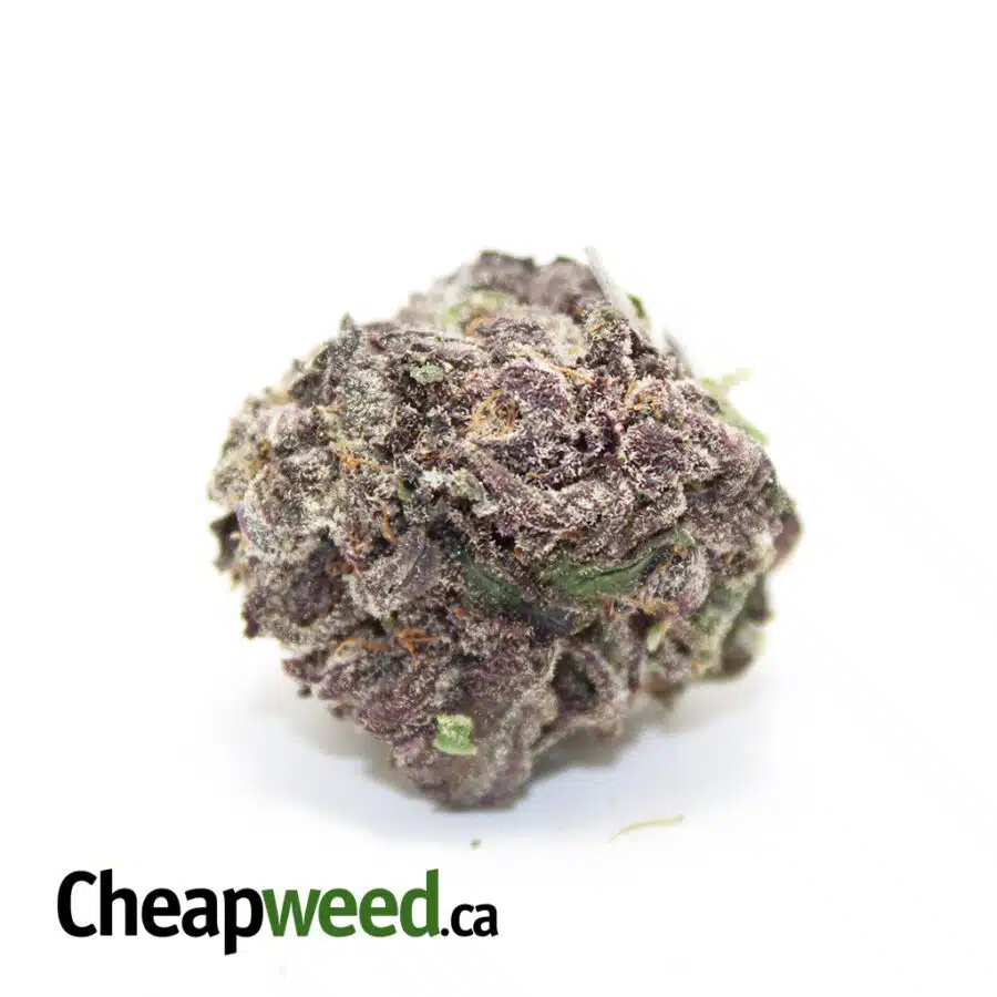 Legendary Grape