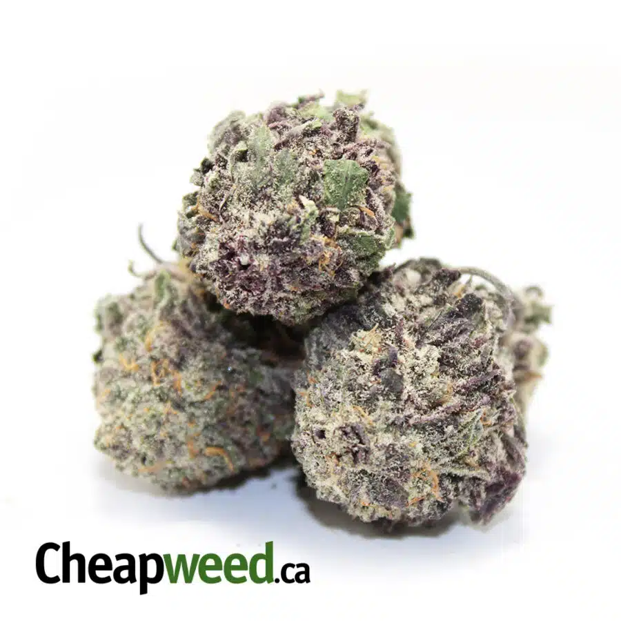 Alternative view of Legendary Grape