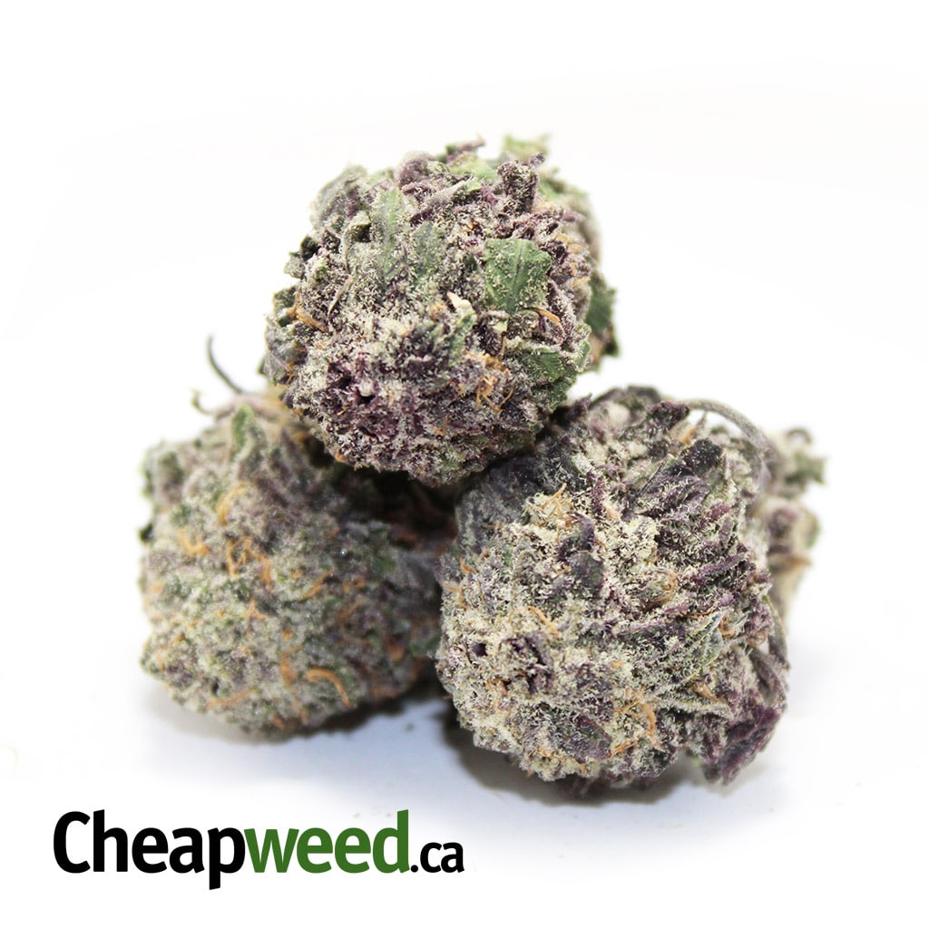 Legendary Grape - Image 2