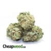 $89 Oz - Mango Haze