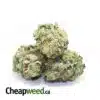 $89 Oz - Mango Haze