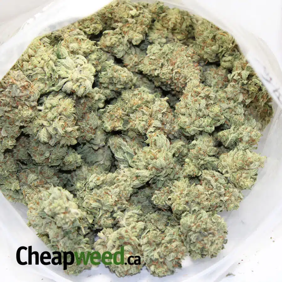 Alternative view of $89 Oz - Mango Haze