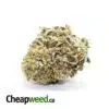 Royal Bubba