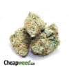 Sweet Mango Haze