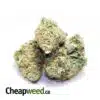 Sweet Mango Haze